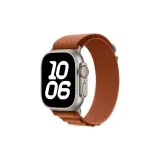 Терракота-Серебристый Застежка [Только Ремешок]