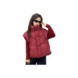 Анкора Красный Жилет