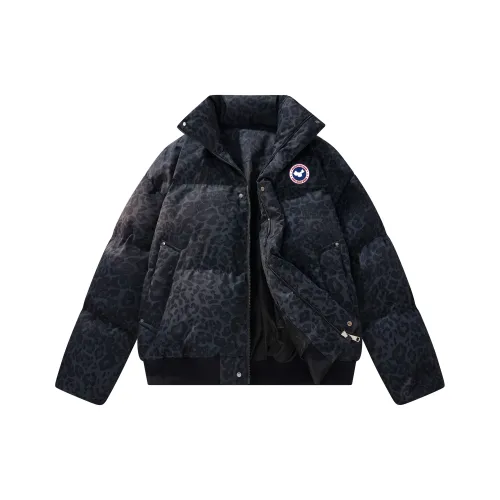 Paddington Bears Пуховая куртка Унисекс