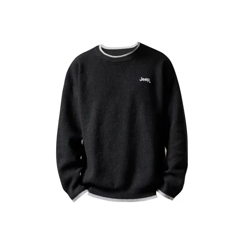 Jeep Унисекс Свитеры