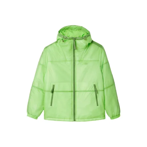 LACOSTE Collaboration TTV Зеленый Мужской Пуховик