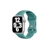 Кактусовый [Только ремешок]