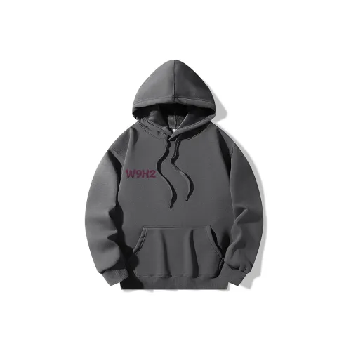 W9H2 Темно-серый Унисекс Свитшоты