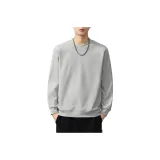 Цвет серой чайки