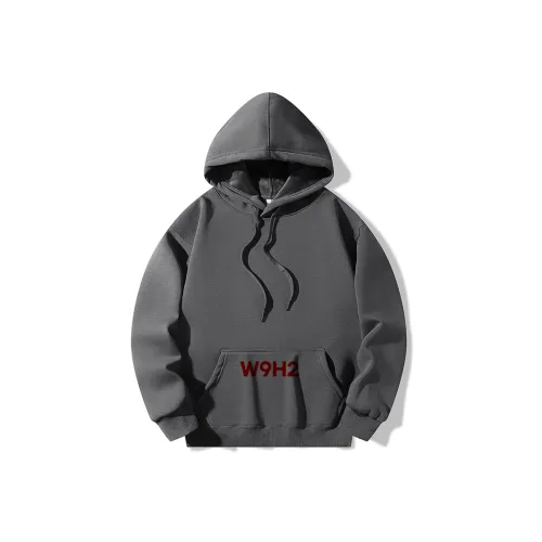 W9H2 Темно-серый Унисекс Свитшоты