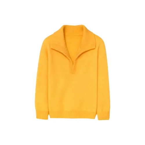 Amyway Orange Women's Knitted Clothing