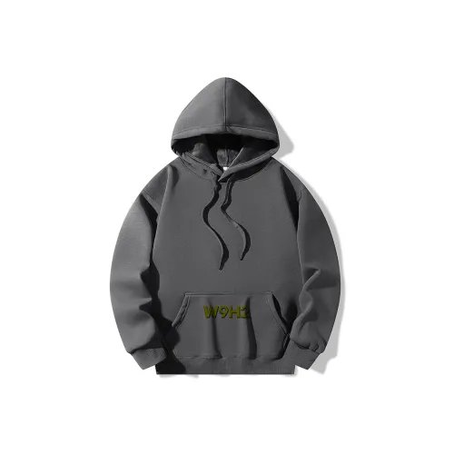 W9H2 Темно-серый Унисекс Свитшоты