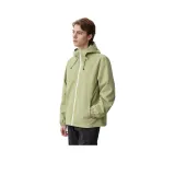 Цвет зеленого авокадо