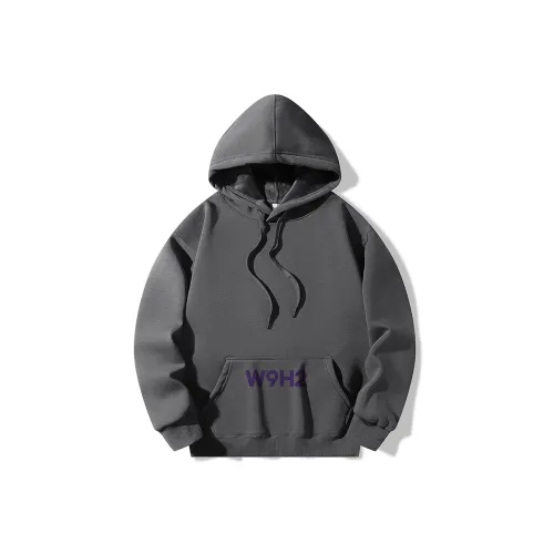 W9H2 Темно-серый Унисекс Свитшоты