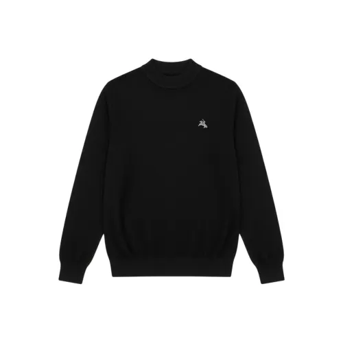 POLOMEISDO Унисекс Свитера