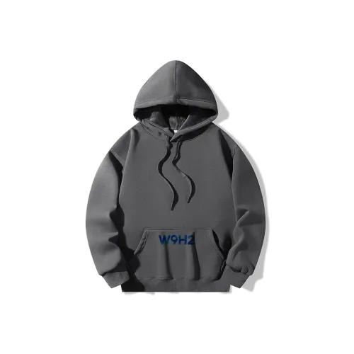 W9H2 Темно-серый Унисекс Свитшоты