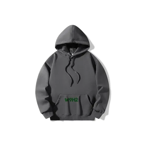 W9H2 Темно-серый Унисекс Свитшоты