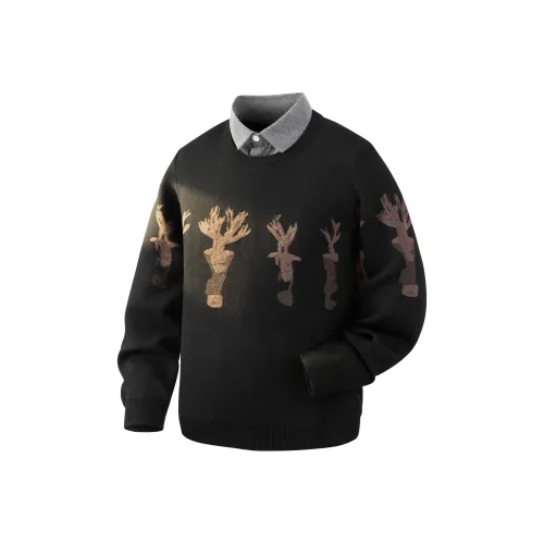 SylphlikeLoli Унисекс Свитера