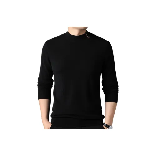 PINSCIO ZENIE Кашемир Свитер Мужской