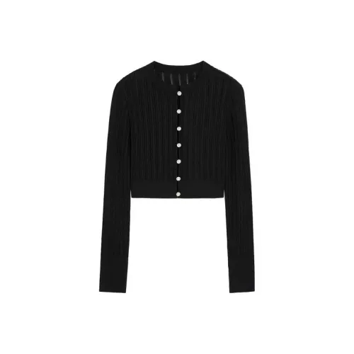 BEBE Женская трикотажная одежда