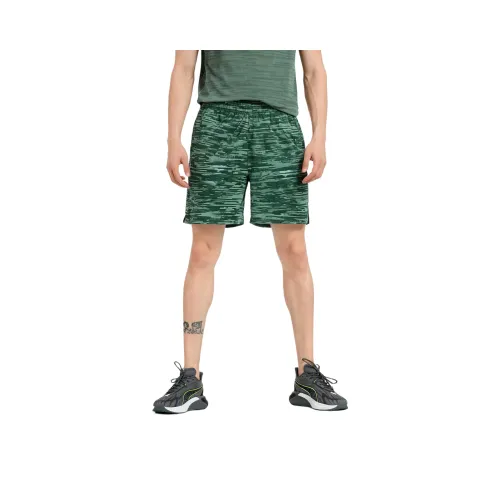 PUMA TRAIN ALL DAY Спортивные шорты Мужские