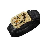 Чёрный Китайский Зодиак Змея