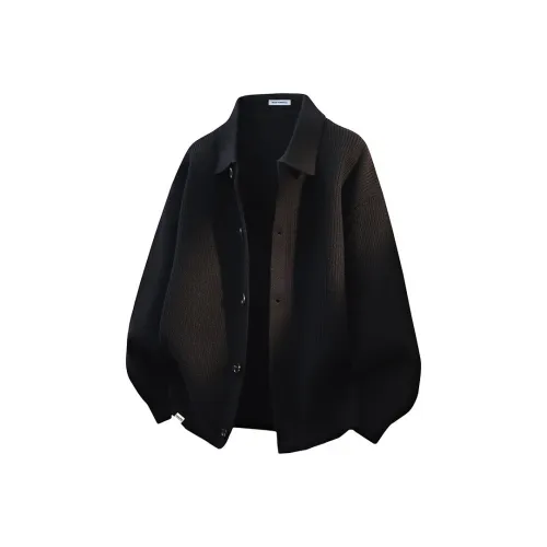 FAIRWHALE Мужские Свитера