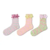 Кремовый Личи-Черная смородина-Мечта Бегония