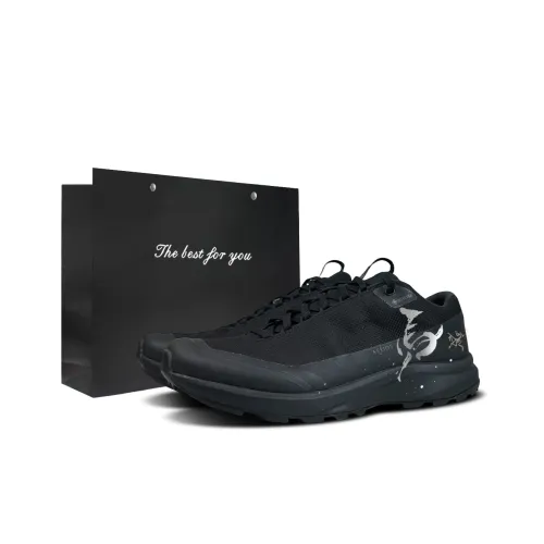 Arcteryx AERIOS FL GTX Устойчивый к истиранию Водонепроницаемый Легкий Низкий Верх Обувь для улицы Унисекс