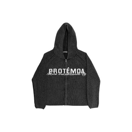 PROTEMOA Серый Унисекс Свитшоты