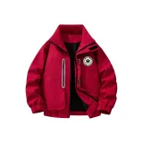 Red Plum [Съемный бренд, брошь]