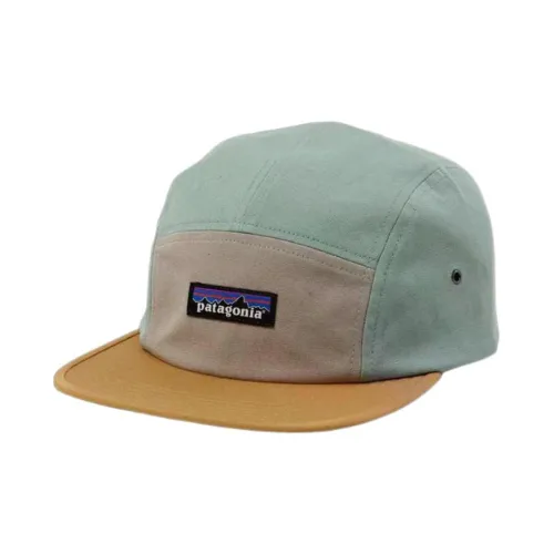 Patagonia Organic Cotton Canvas Кепки Мужские Elwood Green