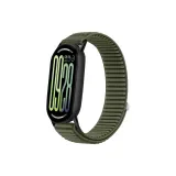 Ель Зеленая