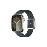 Зимний зеленый