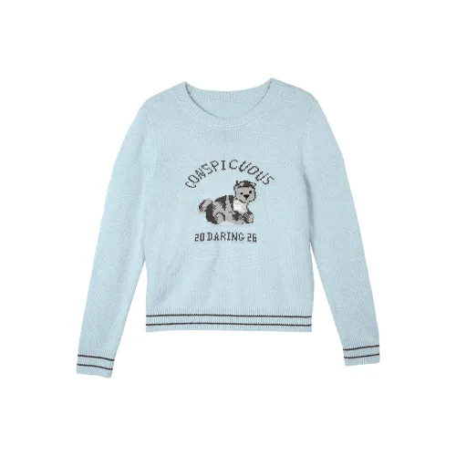 BETU Свет Озерно-голубой Женские Свитеры