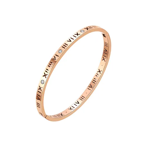 CHEESEFAN Титановые стальные браслеты для женщин