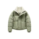 Горох Зеленый