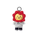 Художник Лайян Сумка Украшение