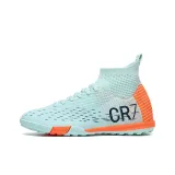 Лунные шипы