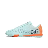 Лунные шипы