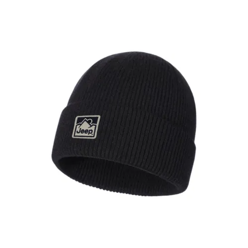 Jeep Шерсть кролика Шапки-бини Унисекс