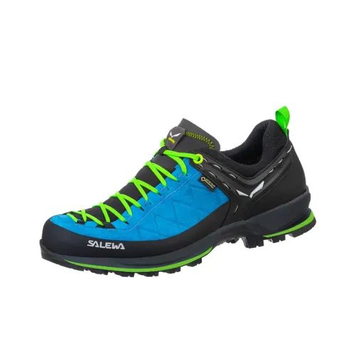 SALEWA Trainer 2 Slip-Resistant Abrasion-Resistant Waterproof Low-Top Hiking Shoes Men's Blue Green SALEWA Trainer 2 Противоскользящий Устойчивый к износу Водонепроницаемый Низкий Топ Походная обувь Мужская Синий Зеленый