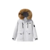 Ледниково-серый