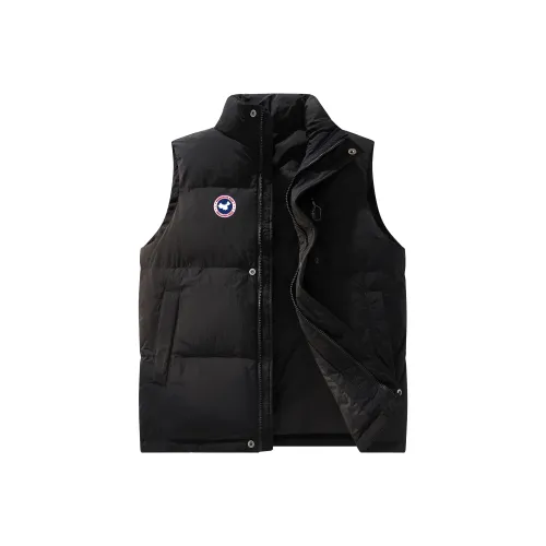 Paddington Bears Унисекс Жилеты