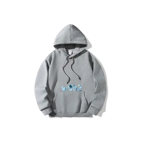 W9H2 Светло-серый Унисекс Свитшоты