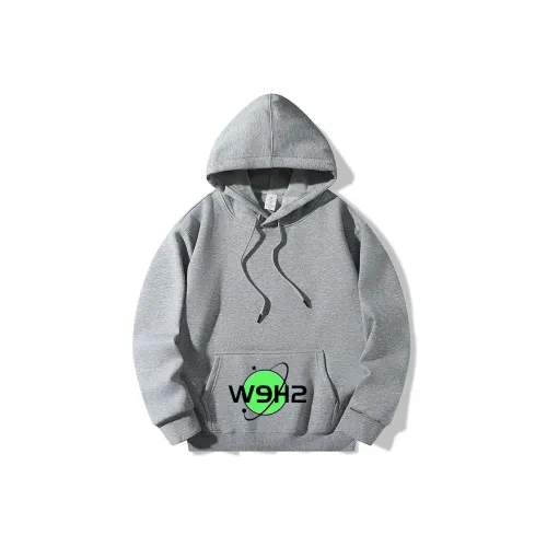 W9H2 Светло-серый Унисекс Свитшоты