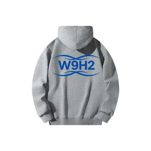 W9H2 Светло-серый Унисекс Свитшоты