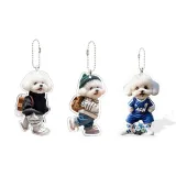 Cute 2D-3 Pack Teddy Charm  
Милый 2D-3 Пачка Тедди Чарм