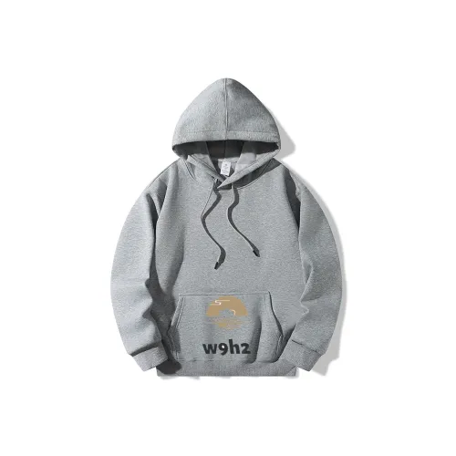 W9H2 Светло-серый Унисекс Свитшоты