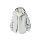 Серебристый Снежно-серый