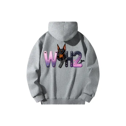 W9H2 Светло-серый Унисекс Свитшоты