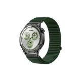 Ель Зеленая