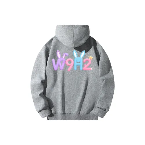 W9H2 Светло-серый Унисекс Свитшоты