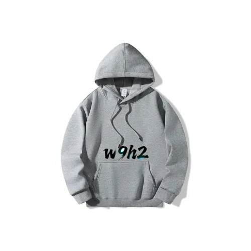 W9H2 Светло-серый Унисекс Свитшоты