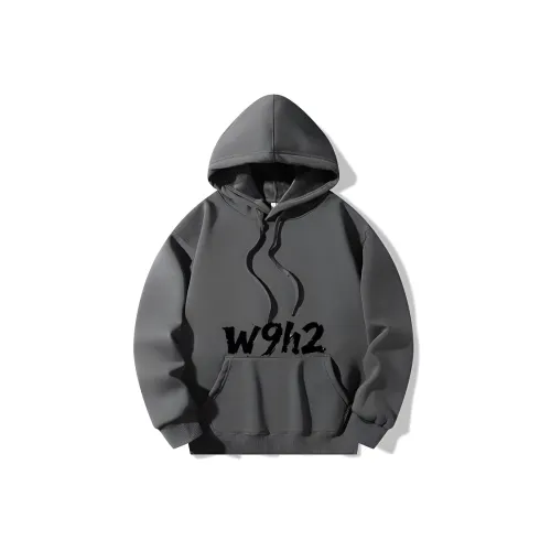 W9H2 Темно-серый Унисекс Свитшоты